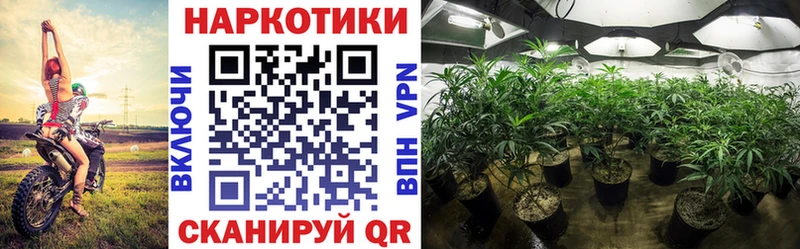 Купить Приморск Каннабис ОМГ ОМГ ONION ГАШИШ МЕФ