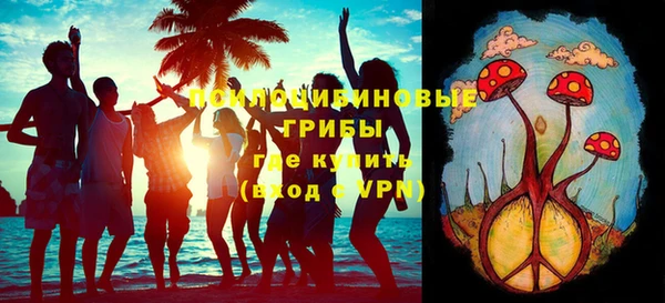 герыч Алексин